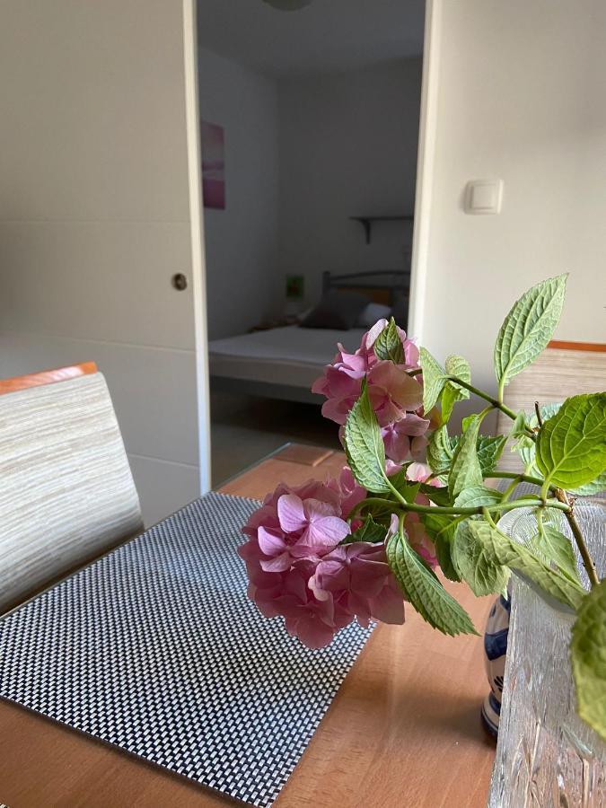 Duje & Roko Apartments Šibenik Extérieur photo